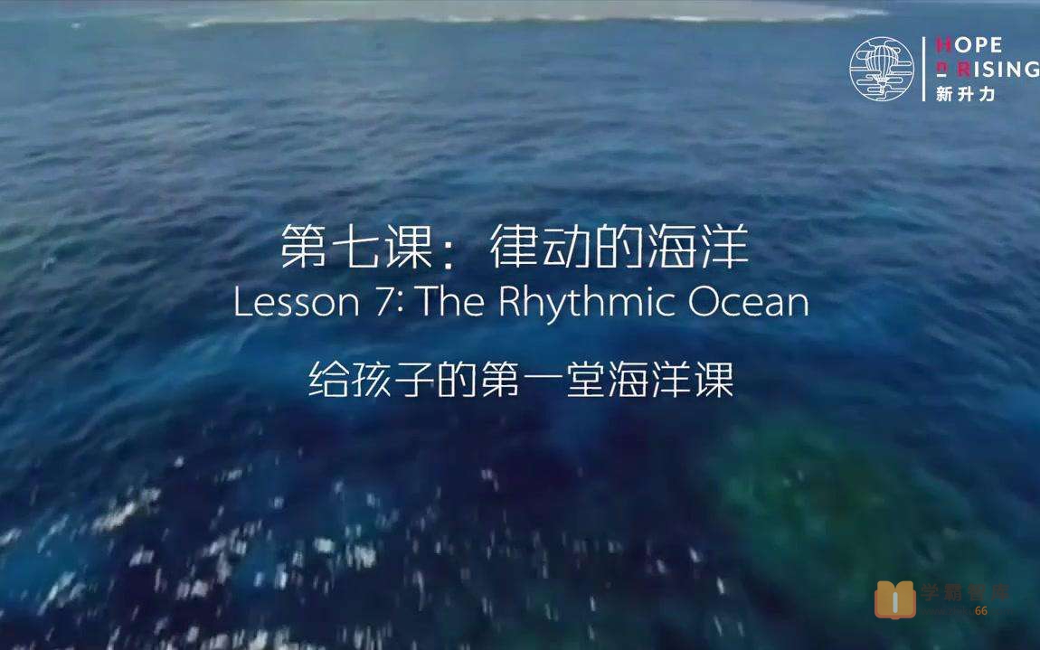 【小灯塔学堂】给孩子的第一堂海洋课（海底世界总动员，给孩子的海洋科普动画）