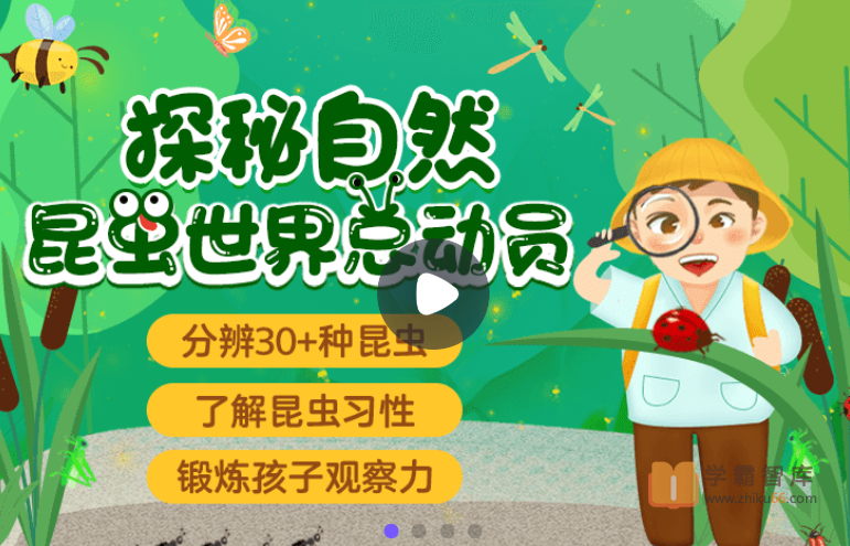 【小灯塔学堂】探秘自然：昆虫世界总动员（法布尔昆虫记的精彩呈现）
