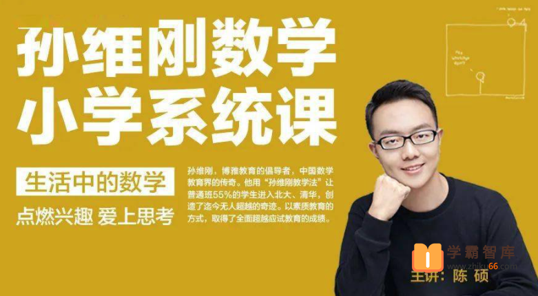 【孙维刚系列课】孙维刚数学小学系统课【博雅小学堂】
