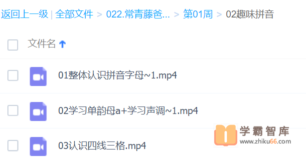 【常青藤爸爸】常爸幼小衔接大语文【32周视频已完结】（让孩子轻松适应小学语文学习）-语文启蒙-第4张