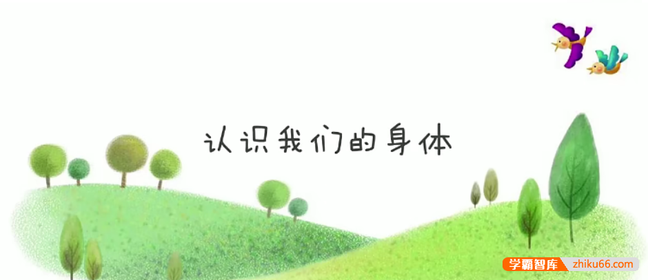 【芝麻学社】ahashool儿童性启蒙教育课