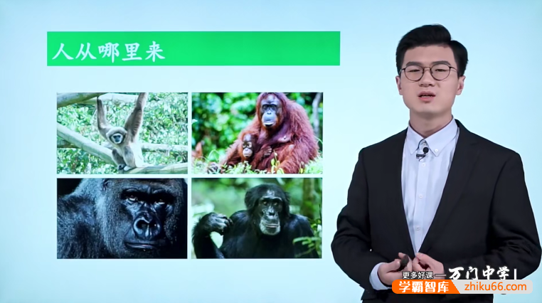 万门大学靳翔宇初一生物基础班（七年级下）