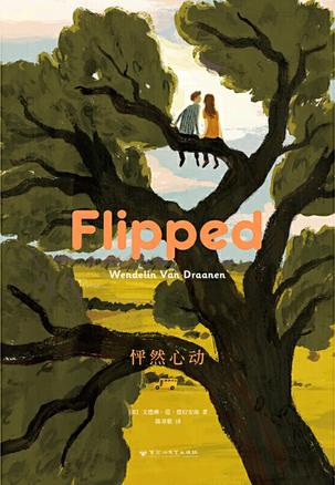 德拉安南《怦然心动》两个孩子的爱情与成长之旅PDF电子书-电子书-第1张