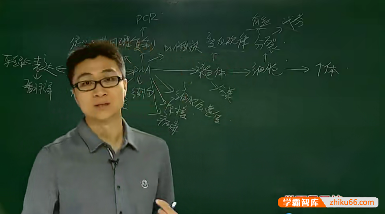 【高阳生物】高阳高中高考生物二轮总复习