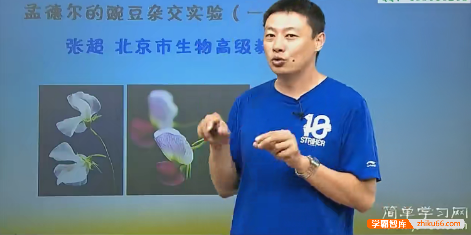 【张超生物】高一生物基础强化下学期课程必修2(人教版)
