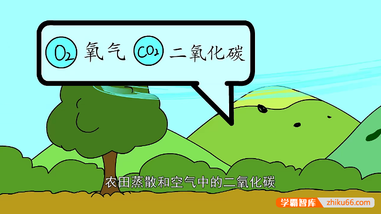 儿童识字启蒙动画片《逗逗虎汉字大学堂》全104集-语文启蒙-第4张