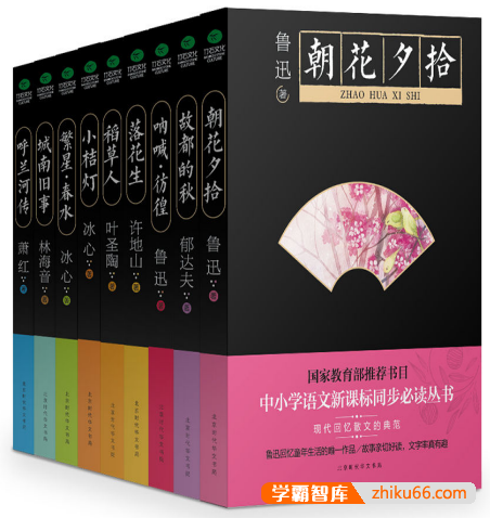 《中小学语文新课标同步必读丛书》套装共9册PDF电子书-电子书-第1张