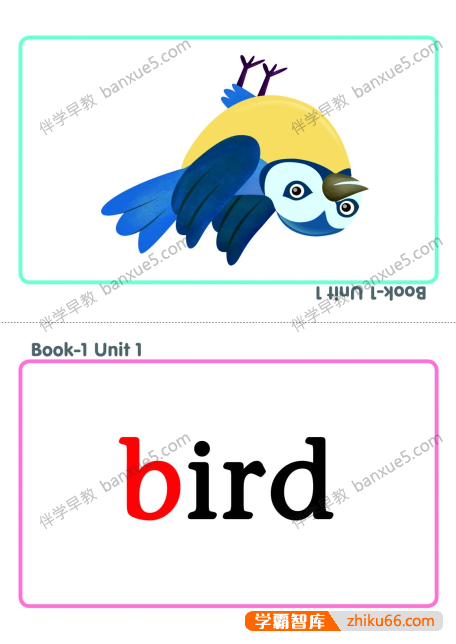 牛津自然拼读单词闪卡《Oxford Phonics World Flashcards》1-4级共494张-英语启蒙-第2张
