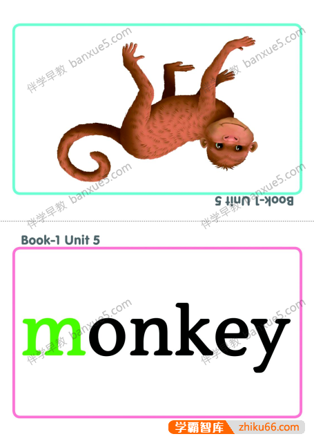 牛津自然拼读单词闪卡《Oxford Phonics World Flashcards》1-4级共494张-英语启蒙-第3张