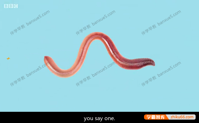 儿童英语启蒙动画片《Yakka Dee》第一季全20集-BBC英语学习节目-英语启蒙-第3张