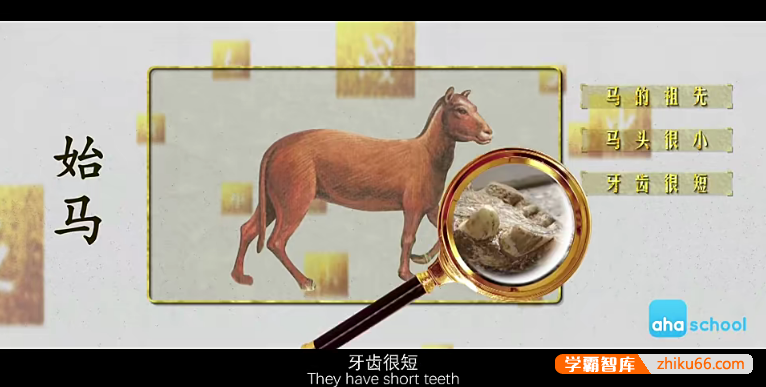 儿童历史文化启蒙动画片《十二生肖简史》全12集-百科启蒙-第4张