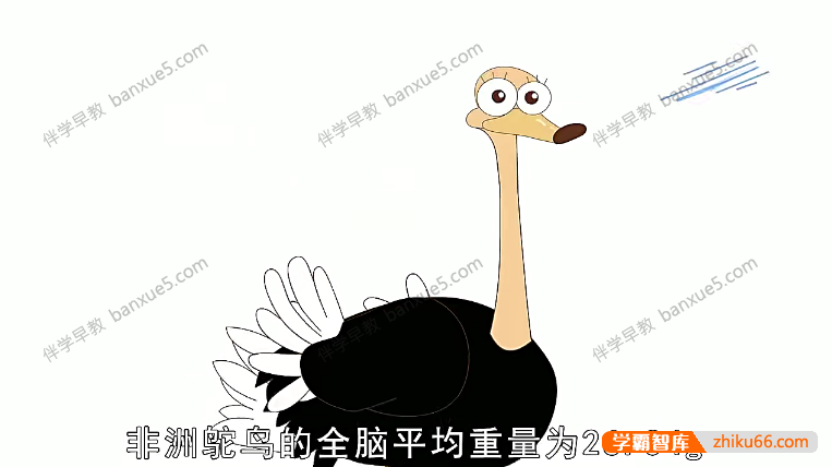 儿童动物知识科普动画片《动物冷知识》全26集-百科启蒙-第4张