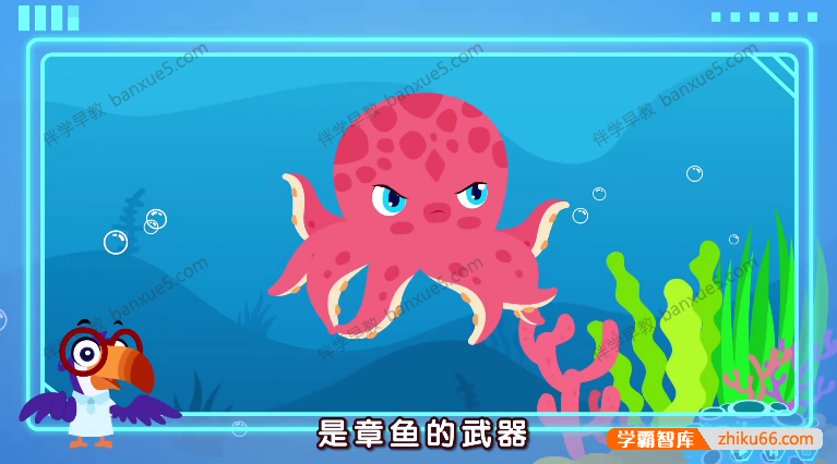 早教益智动画片《贝乐虎大百科》全52集-百科启蒙-第3张