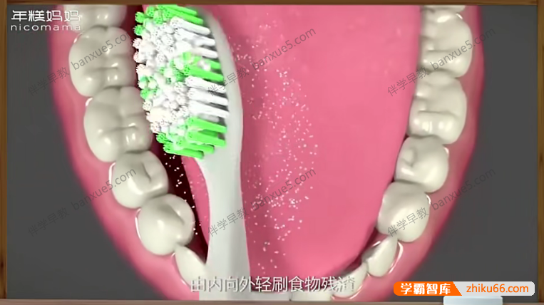 儿童早教课程《身体的秘密：给宝宝的第一堂人体认知课》全15集-百科启蒙-第3张