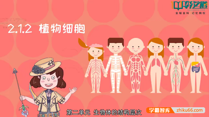 人教版初中生物同步动画课程(初中7-8年级全册)-初中生物-第1张