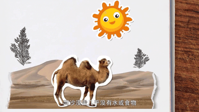 儿童科普动画《奇妙的世界》120集视频,带娃从生活角度来感受科学的乐趣和神奇！-百科启蒙-第2张
