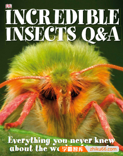 DK昆虫世界百科《鲜为人熟知的昆虫世界DK Incredible Insects Q&A》英文版PDF电子书