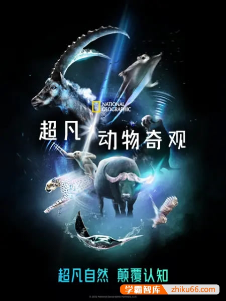 纪录片《超凡动物奇观》第一季全6集